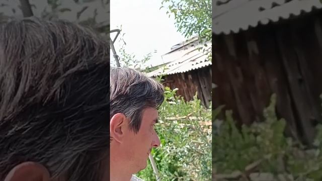 17 июля 2023 г. Жарим шашлыки купаемся в бассейне это кайф смотреть онлайн