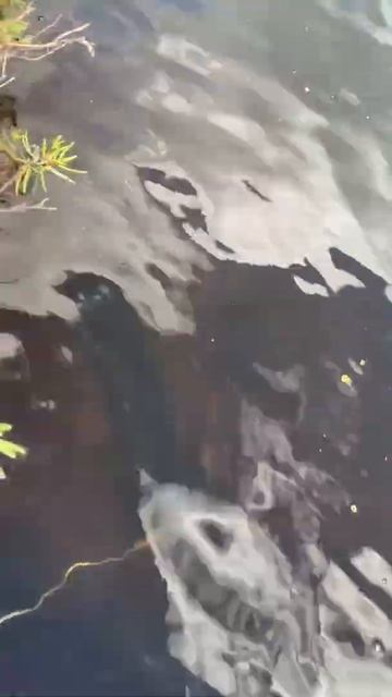 видео кукан смотреть онлайн