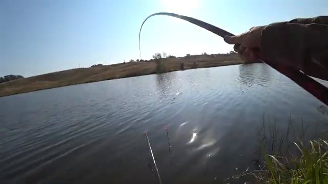 Ловля на WD 40. Чуть не утащил удочку. Реакция рыбы на WD 40. Рыбалка на поплавок.