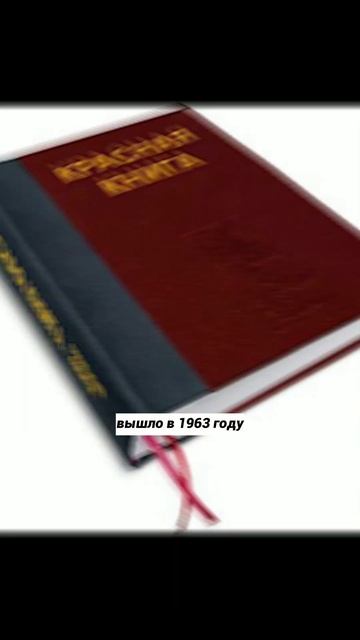 Интересные факты. Красная книга редкостей #shorts смотреть онлайн