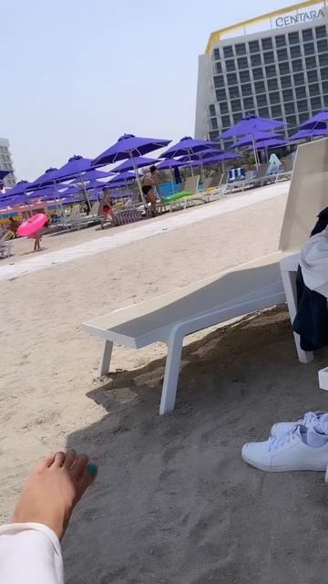 1 октября 2024 г. смотреть онлайн