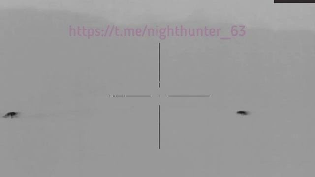 Тепловизионный прицел Arkon Alfa HT50. Кабаны 164 метра. смотреть онлайн