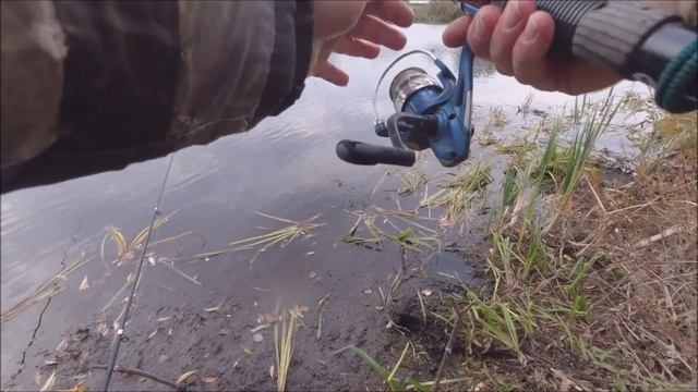 РЫБАЛКА на ЖИВЦА в Октябре 2024 год смотреть онлайн