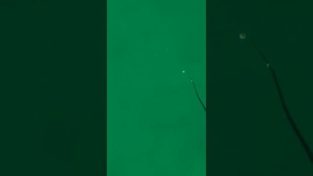 Остров русский