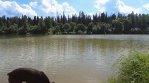 Переехали на Алтай. Официально деревенские жители.