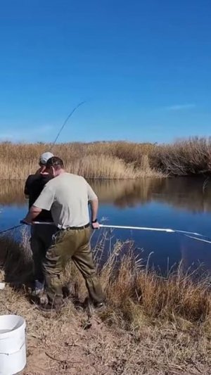 Осенний спиннинг на реке Куланотпес  #спиннинг #Кулано