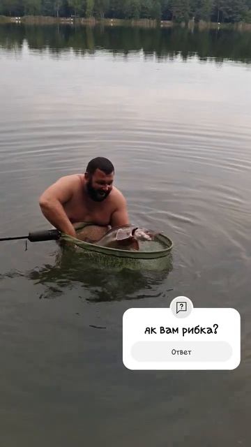 осетр на флет фідер #флетфідер #карпфішинг #риболовля # смотреть онлайн