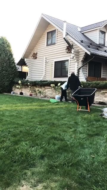 Будни садовника, готовим растения к зиме, высаживаем г