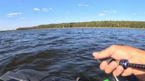 Неправильная проводка! Если у вас  НЕ КЛЮЁТ ЦИКАДУ и ВИ