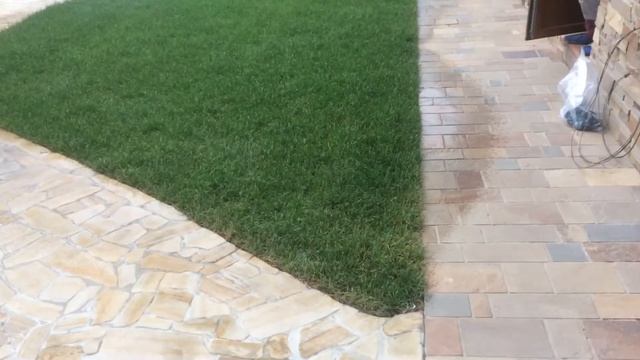 Рулонный газон