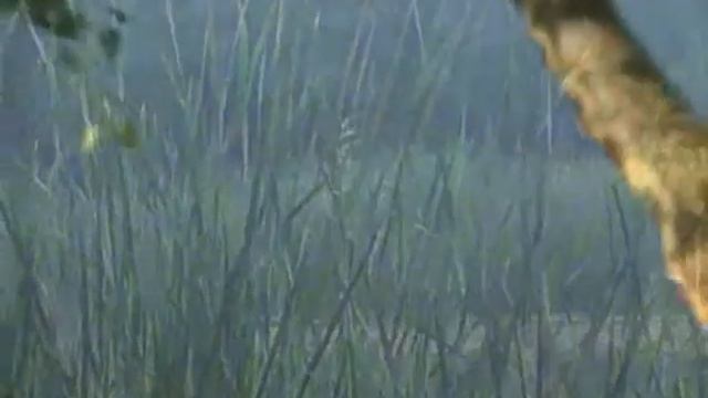 ЗОНА-Т.ДЕТИ Олесь с Любоистока "А НА ЗЕМЛЕ БЫТЬ ДОБРУ" смотреть онлайн