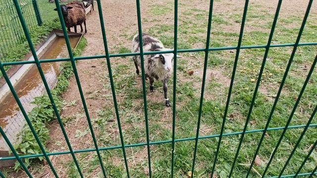 Музейный комплекс Дудутки часть 1