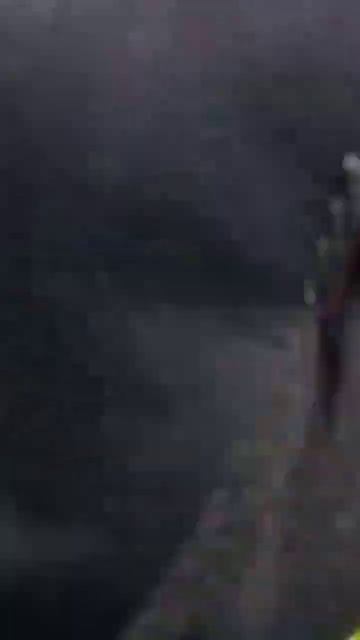 Лесная речка Рыбалка на Леща клюет #рыбалка #fishing #рыбо? смотреть онлайн