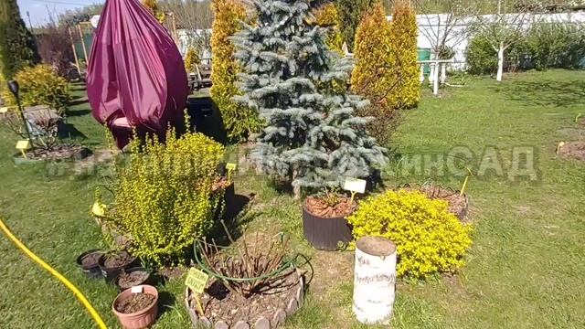 🌬Возвратные заморозки🤦♀️ что делать? смотреть онлайн