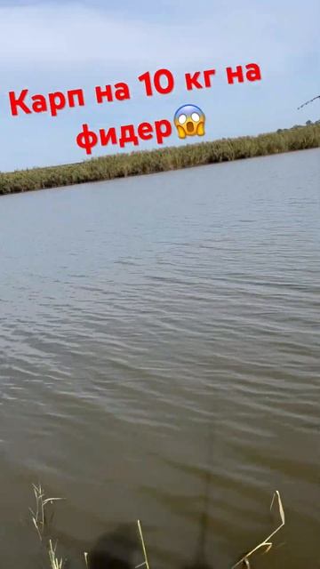 https://vk.com/fishing_adygea01armavir123 больше видео в вк группе⬆️