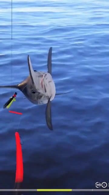 Меч 115 кг • Фарм троллингом • #shorts #меч #рыба #рр4 #fishing