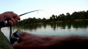 Рыбалка на реке Кубань - Жерех .. и всё остальное .