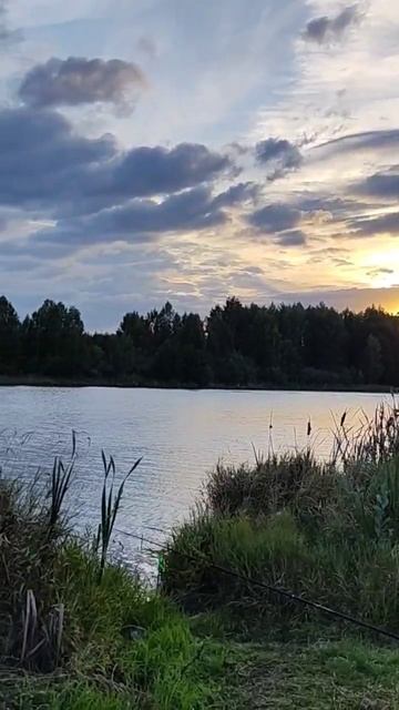 Сентябрьский закат на берегу пруда закат расслаблен?