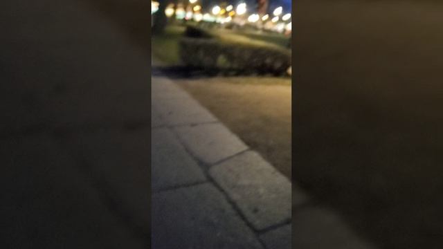 Васильевский остров в Питере 20250513 смотреть онлайн