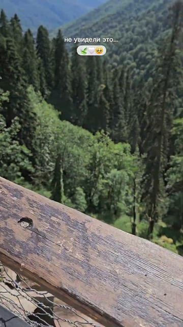 Ради этого вида стоило ошибиться с маршрутом и пройти смотреть онлайн