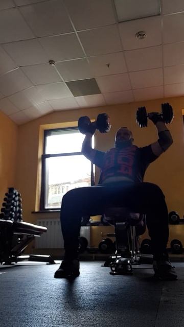 Жим гантелей сидя 4*8 – по 22. 5 смотреть онлайн