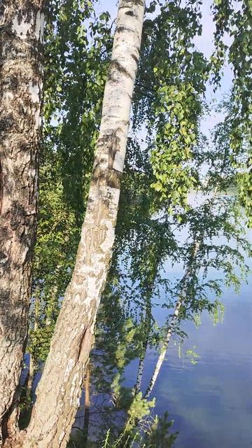 Утро. Дзержинский карьер. Подмосковье