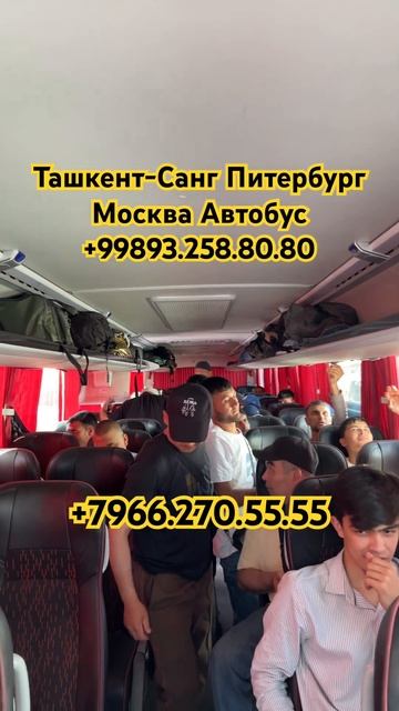 #ташкент #санктпетербург #автобус #ташкент #москва #авт смотреть онлайн