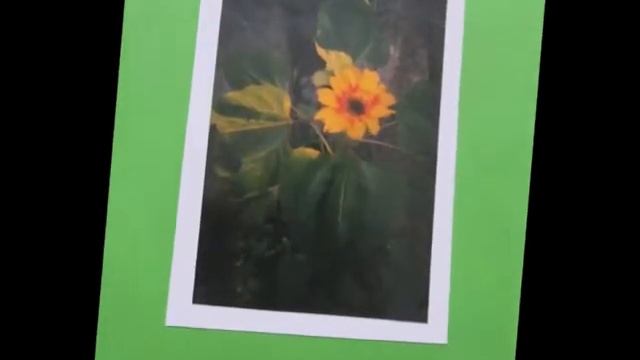 выставка садик смотреть онлайн