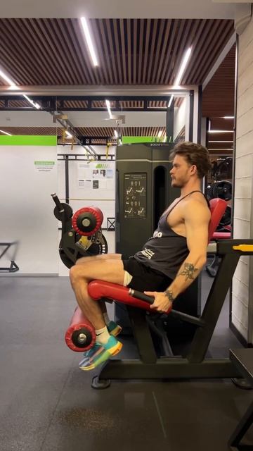 Разгибания голени сидя смотреть онлайн