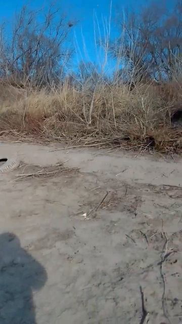 Пляж "Ласточка", река Северский Донец, город Белая Кали смотреть онлайн