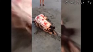 нарки приколы смотри как ведут себя нарики под кайфом