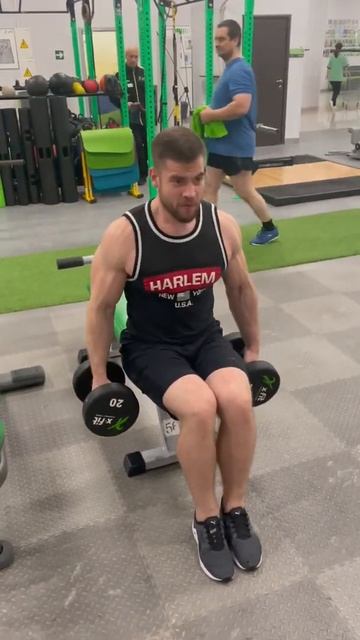 Отведение рук с гантелями сидя 20кг смотреть онлайн