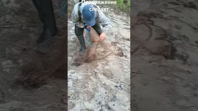 #рыбалка #щука# кастинговая# сеть#рыба