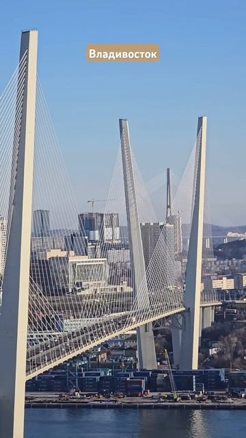 Владивосток, посмотри есть кто на пиллонах? #БлогВлади смотреть онлайн