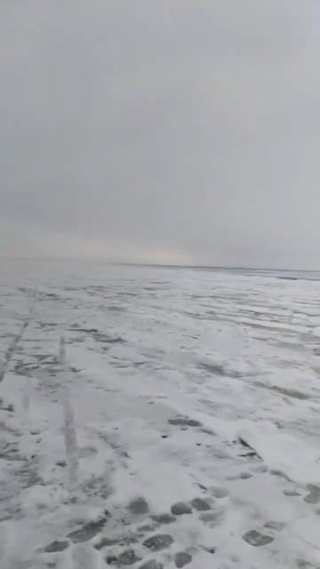 Видео отчёт с группы Ватсап! Недалеко от Шуран! #rybalkatatar смотреть онлайн