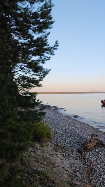 Вернулись с рыбалки #анири #рыба #рыбалка #карелия смотреть онлайн