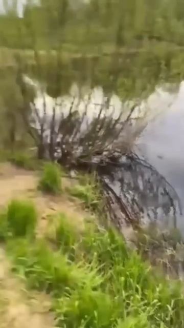 Рыбалка #рыбалка2024 #fishing #рыбалка #рамазан #юмор