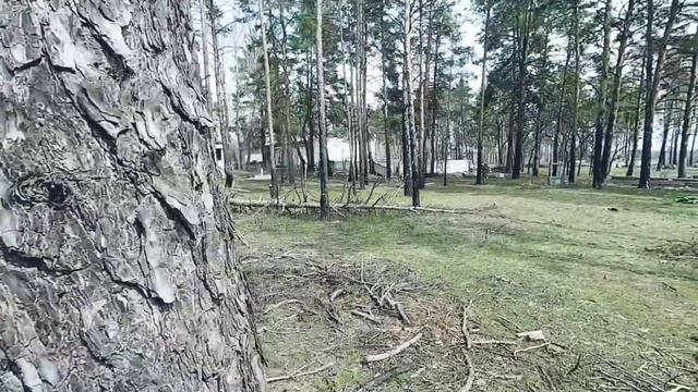 Просто замес(лагерь 