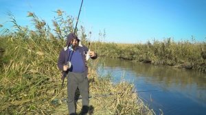 Рыбалка: СРЕДНИЙ КАНАЛ, ДАГЕСТАН.