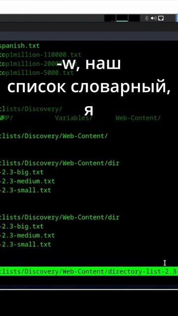 Поиск каталогов и файлов на сервере с помощью gobuster #web # смотреть онлайн
