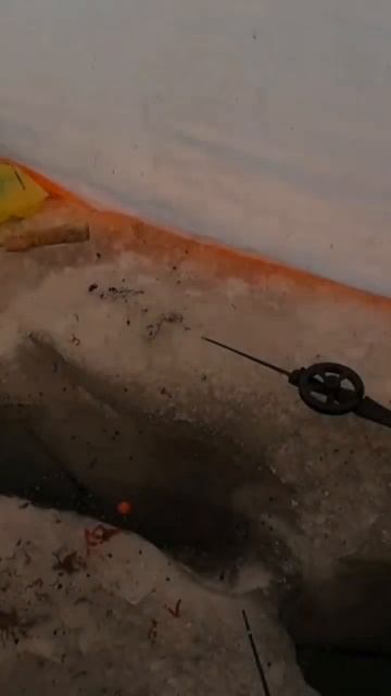 Момент поклёвки! Погода просто сказка! #fishing #рыбалка #ic смотреть онлайн