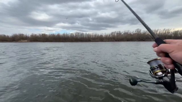 Zetrix Orsa Nero 812 и Headaway 842H