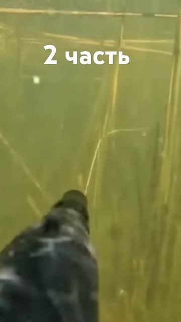 #fishing #рыбалка #подводная #факты #охота на сазана смотреть онлайн