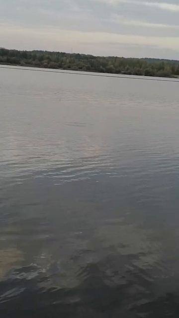 #рыбалка #спининг #фидер #осень #рКама смотреть онлайн