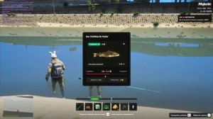 СЕКРЕТНОЕ МЕСТО РЫБАЛКИ В GTA 5 RP MAJESTIC ПУТЬ НОВИЧКА #14