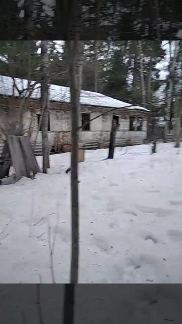 #живиярко #творидобро #отдыхнаприроде #пейнтбол #отдых