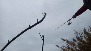 рыбалка на теляпию в городе Нововоронеж.