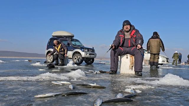 ТавричанкаСельдь 16.01.25
