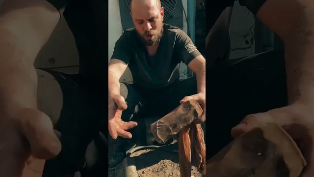 Технологии, осушитель в гараж для окраски.