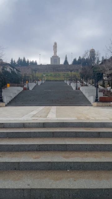 Болгария. Если часто ходить в кафе будешь как котик#schor